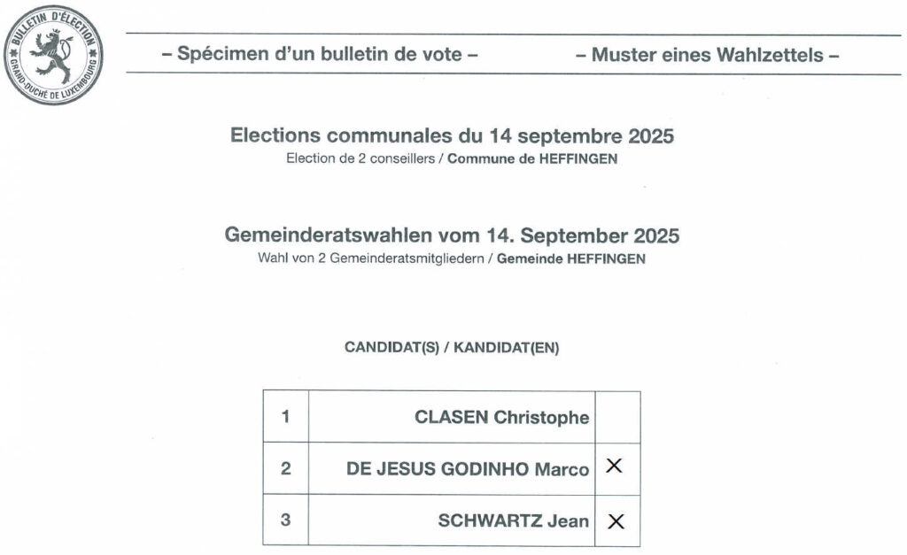 electoral aid for the elections 2025